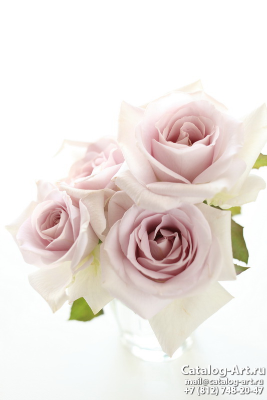 Pink roses 44